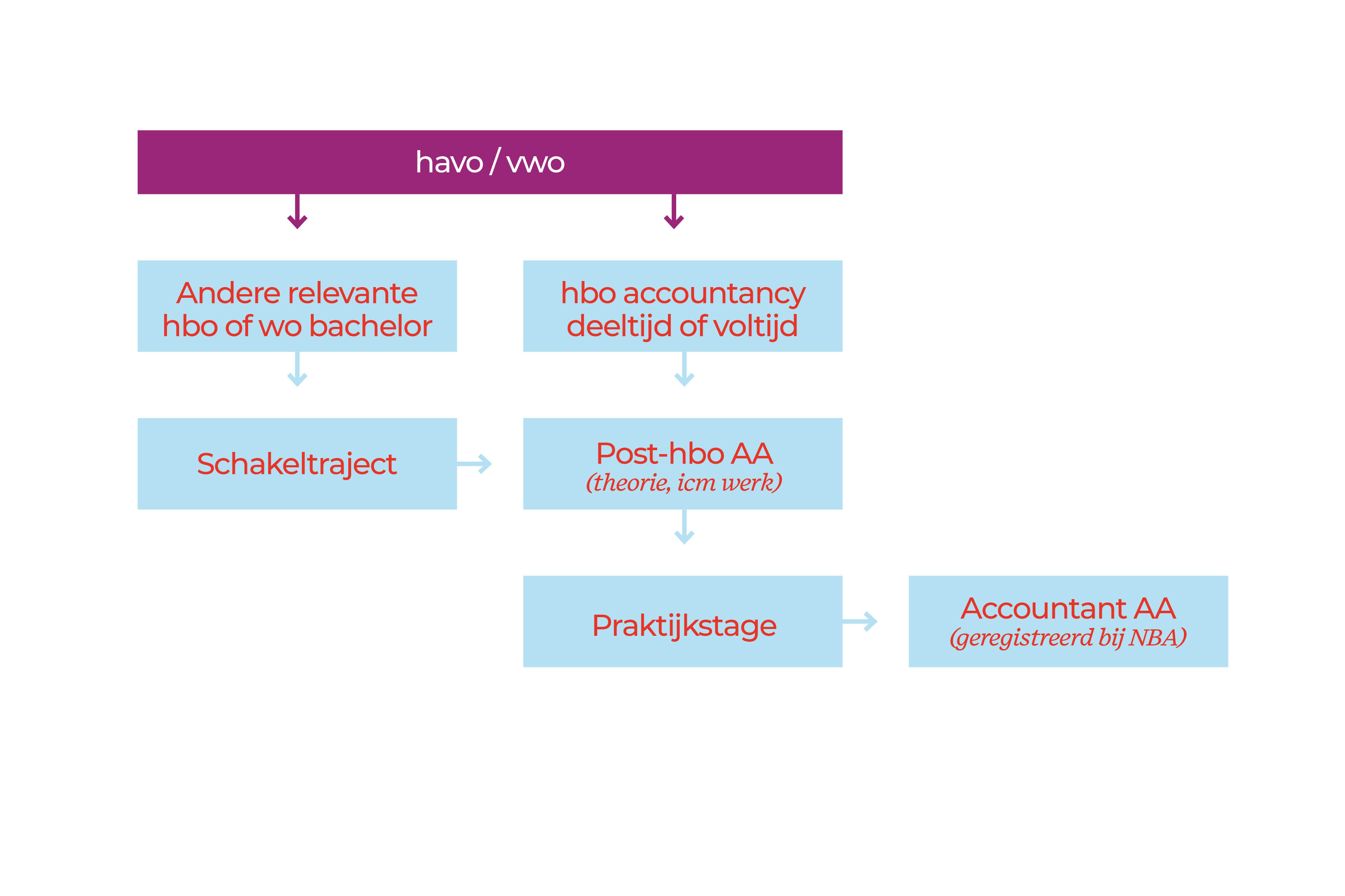 Accountant AA worden stroomschema