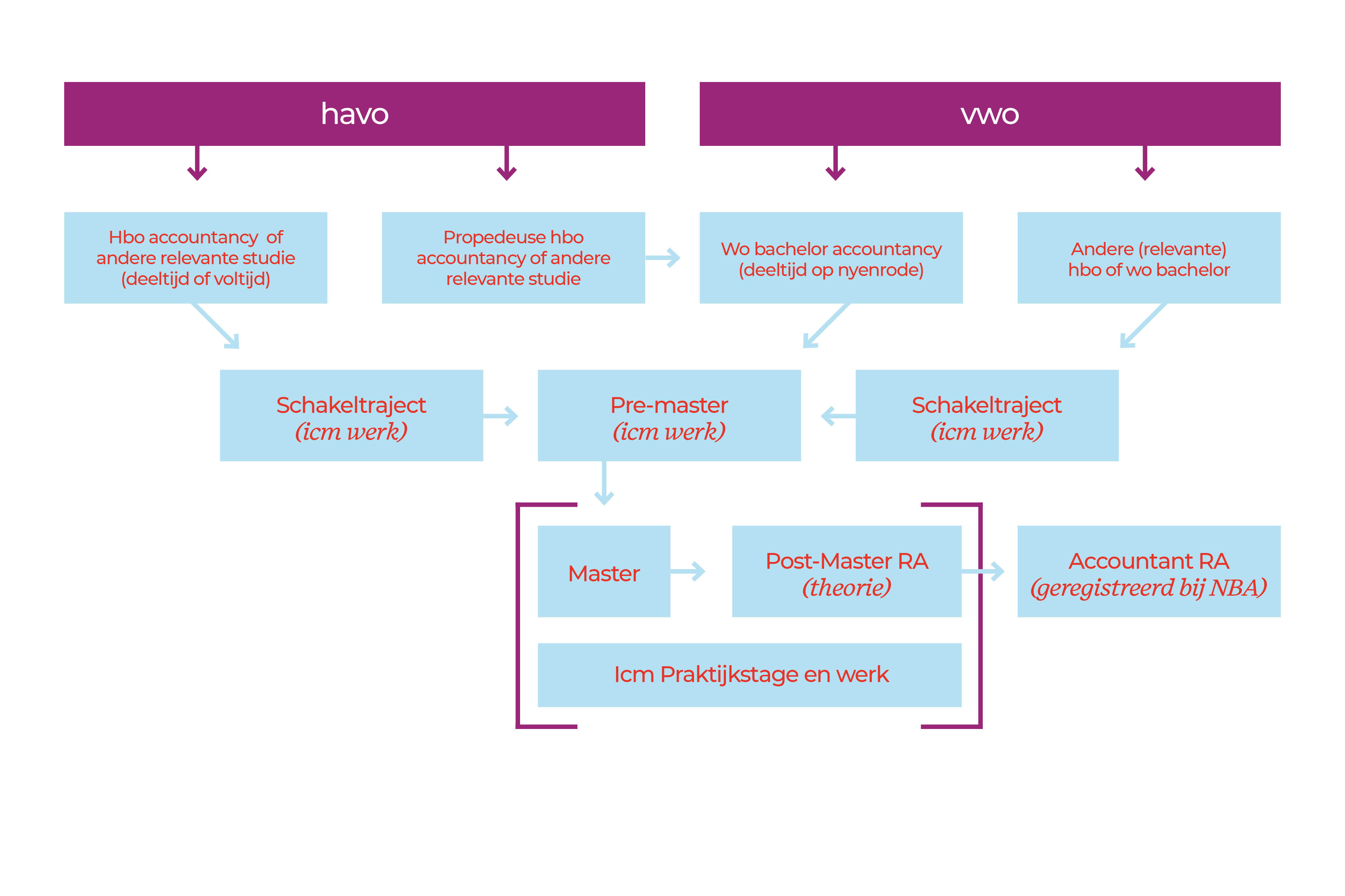 Accountant RA worden stroomschema